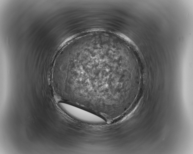 X0000087010929200704301415