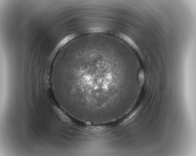 X0000087010930200704301415