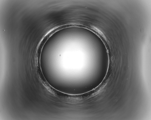 X0000087010931200704301415