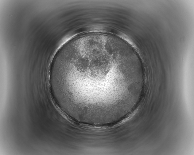 X0000087010933200704301415