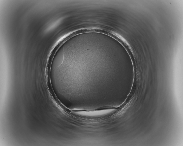 X0000087010935200704301415