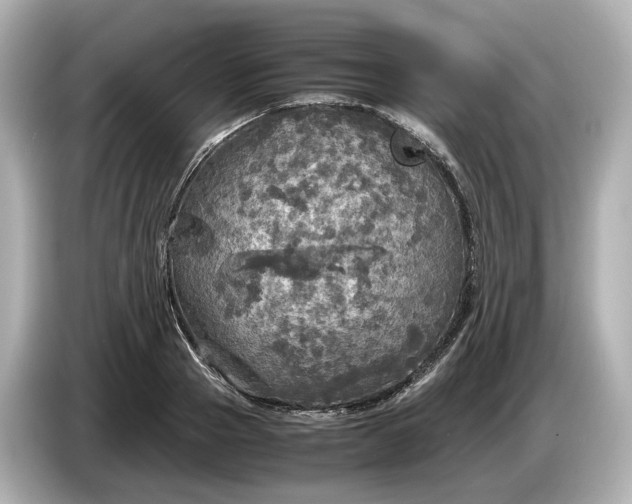 X0000087010937200704301415