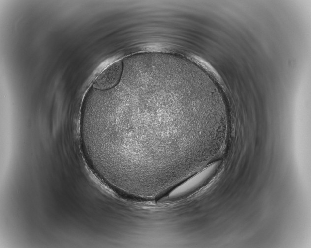 X0000087010938200704301415