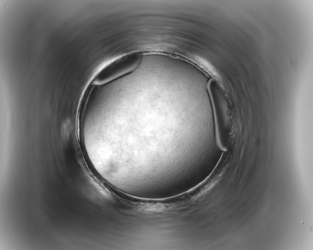 X0000087010940200704301415