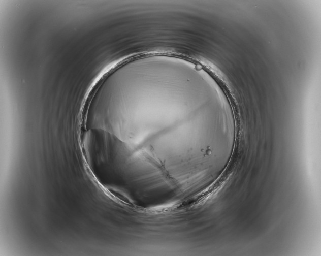 X0000087010941200704301415