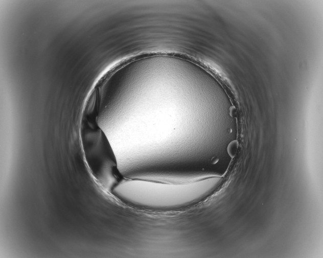 X0000087010942200704301415