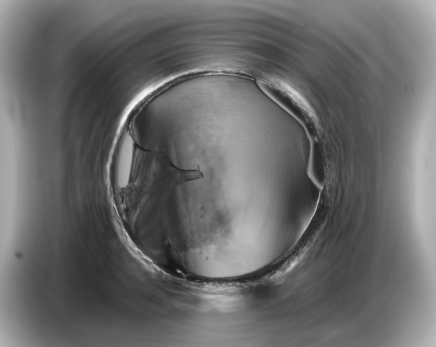 X0000087010944200704301415