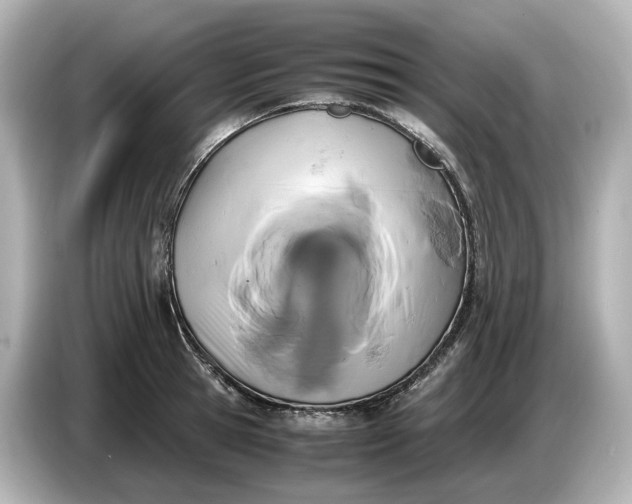 X0000087010945200704301415