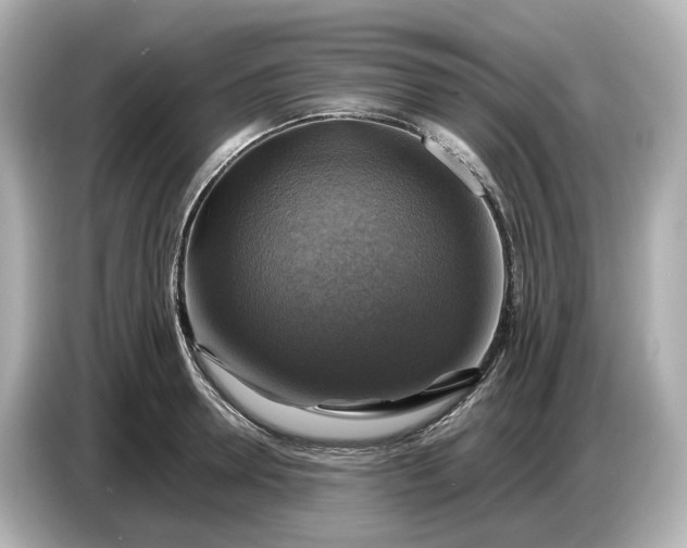 X0000087010946200704301415