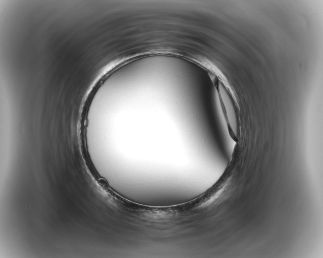 X0000087010947200704301415