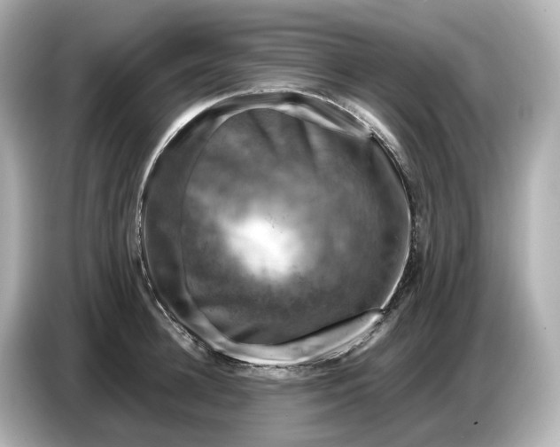 X0000087010948200704301415