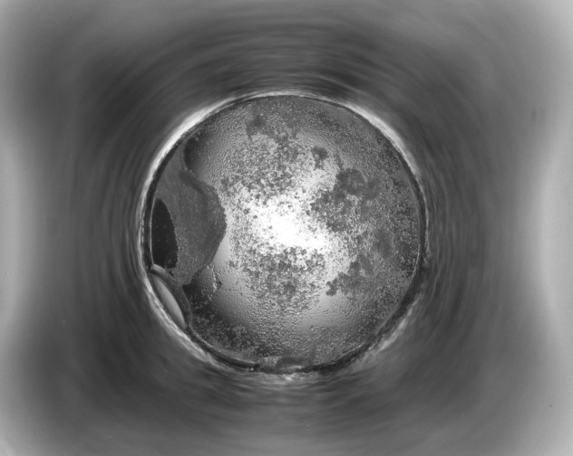 X0000087010949200704301415