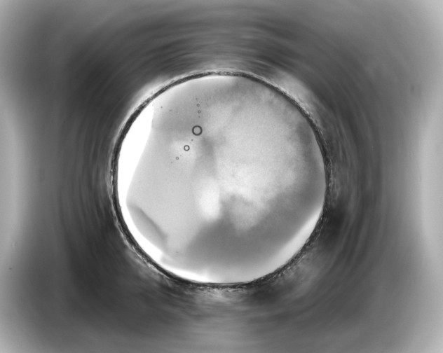 X0000087010950200704301415