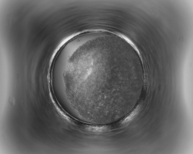 X0000087010951200704301415