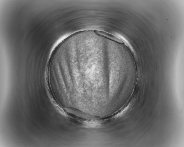 X0000087010952200704301415