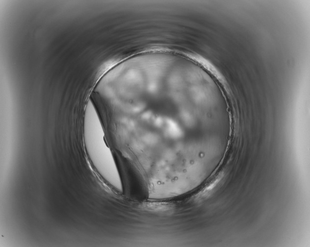 X0000087010953200704301415