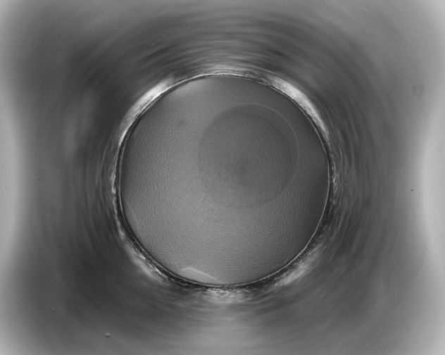 X0000087010954200704301415