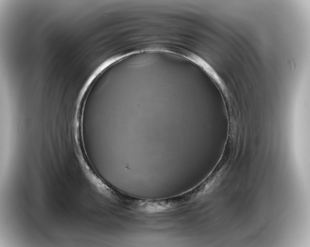 X0000087010955200704301415