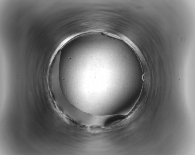 X0000087010956200704301415