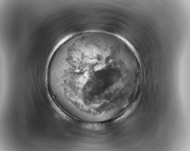 X0000087010957200704301415