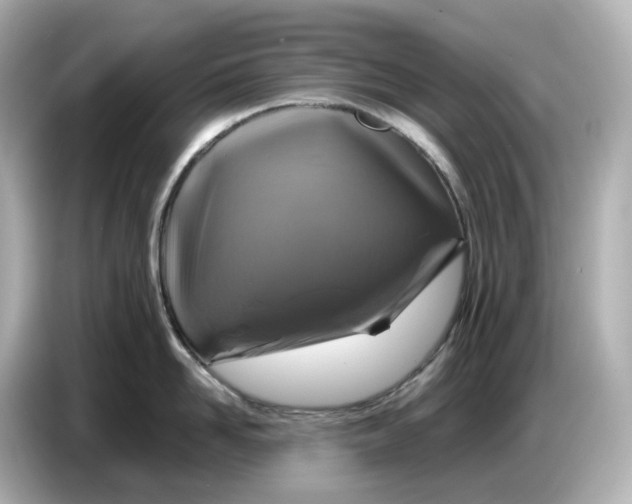 X0000087010958200704301415