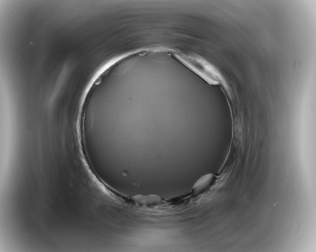 X0000087010959200704301415