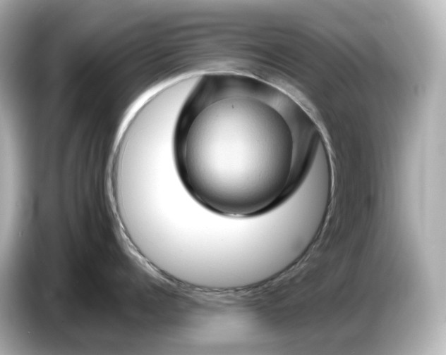 X0000087010960200704301415