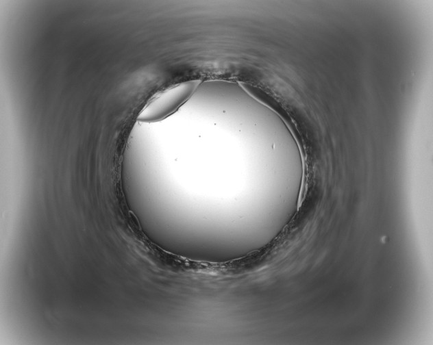 X0000087010961200704301414