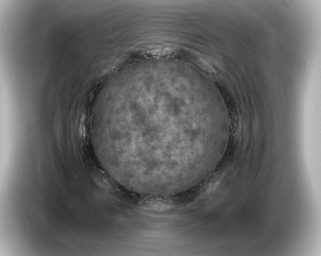 X0000087010962200704301414