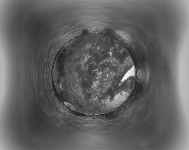 X0000087010963200704301414