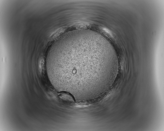 X0000087010964200704301414