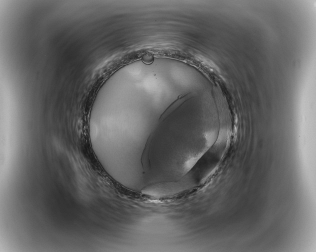 X0000087010966200704301414