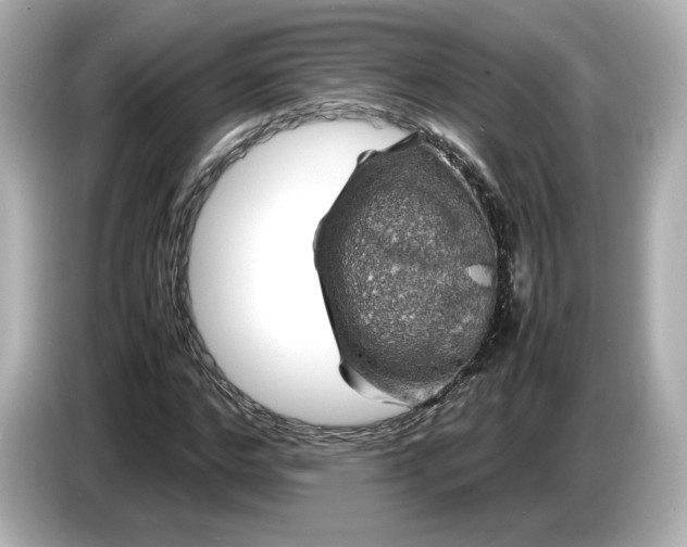 X0000087010968200704301414