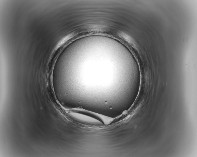 X0000087010970200704301414