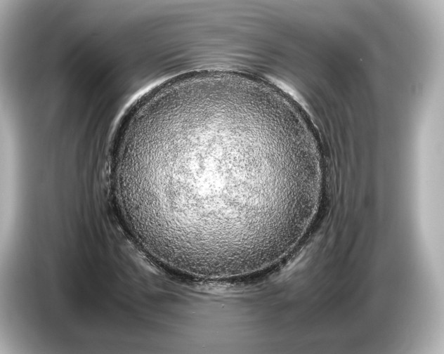 X0000087010971200704301414