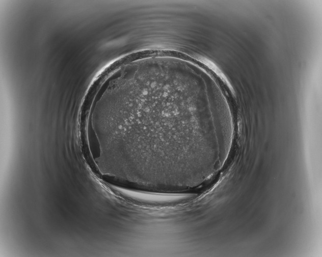 X0000087010972200704301414