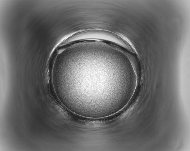 X0000087010973200704301414