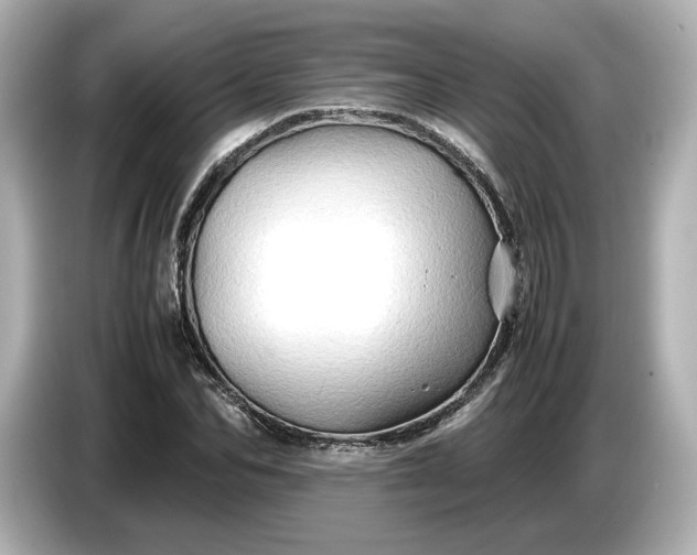 X0000087010974200704301414