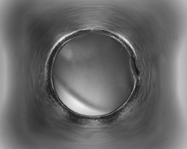 X0000087010975200704301414