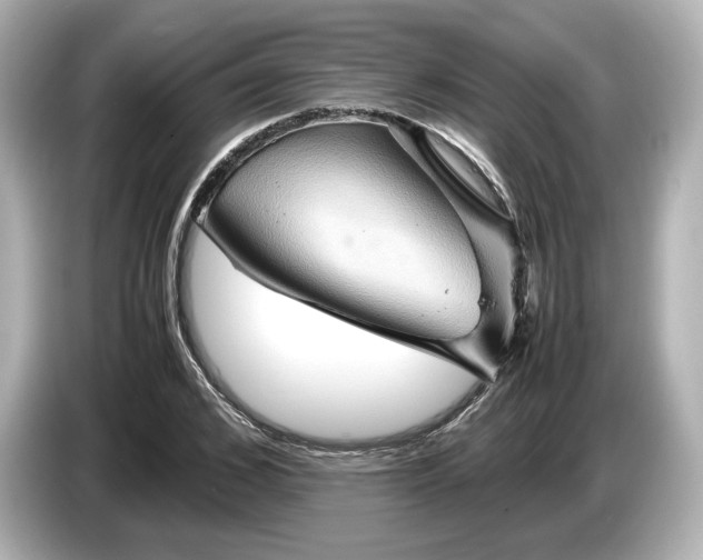 X0000087010976200704301414