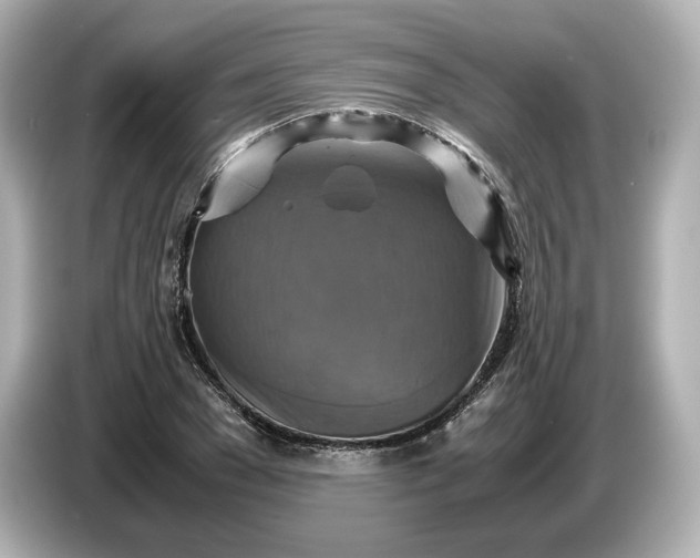 X0000087010977200704301414