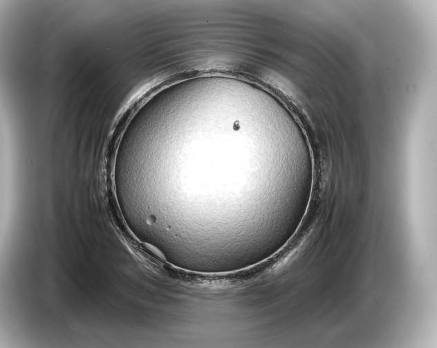 X0000087010978200704301414