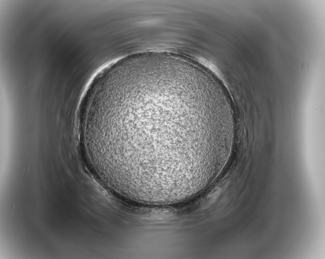 X0000087010979200704301414