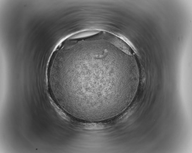 X0000087010980200704301414