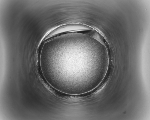 X0000087010981200704301414