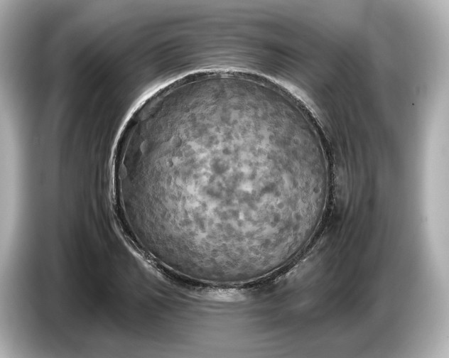 X0000087010982200704301414