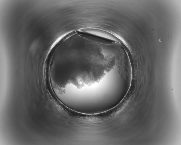 X0000087010983200704301414