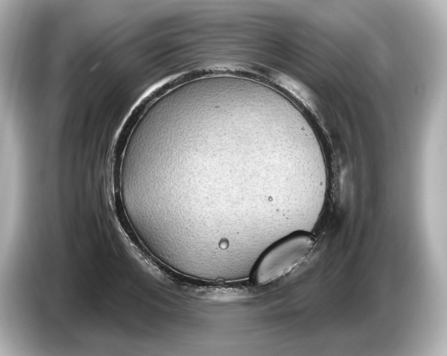 X0000087010984200704301414