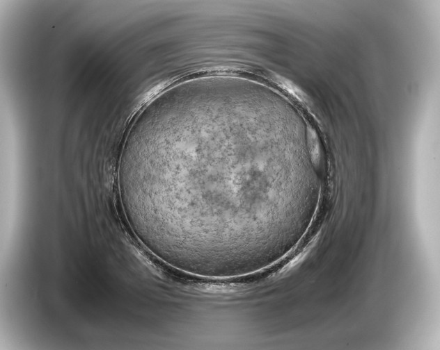 X0000087010985200704301414