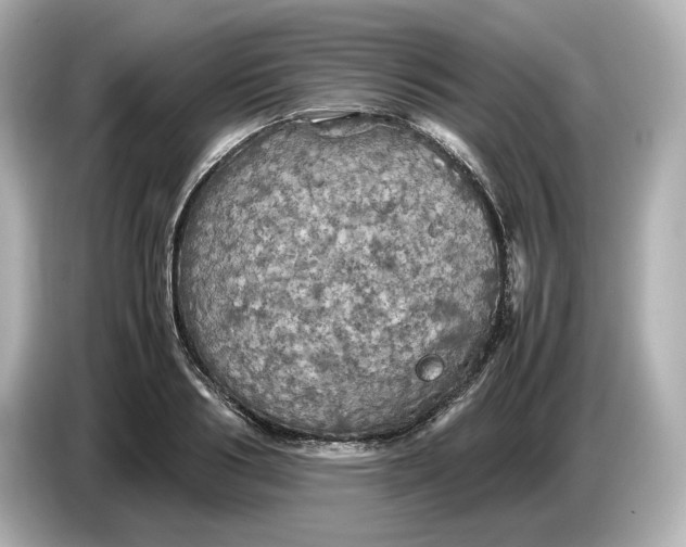 X0000087010986200704301414